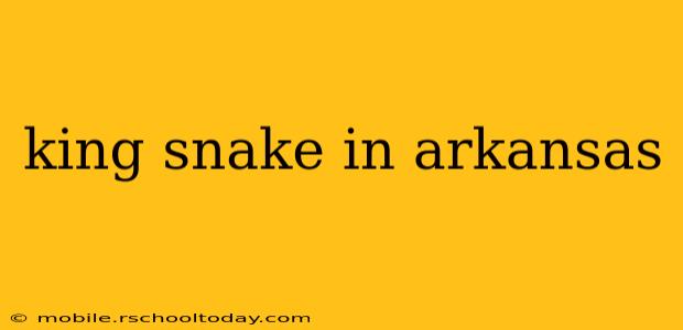 king snake in arkansas