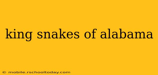 king snakes of alabama