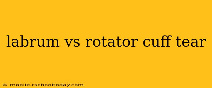 labrum vs rotator cuff tear
