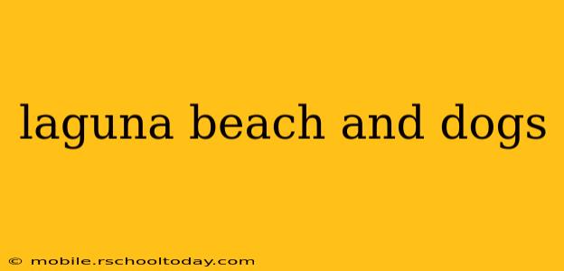 laguna beach and dogs