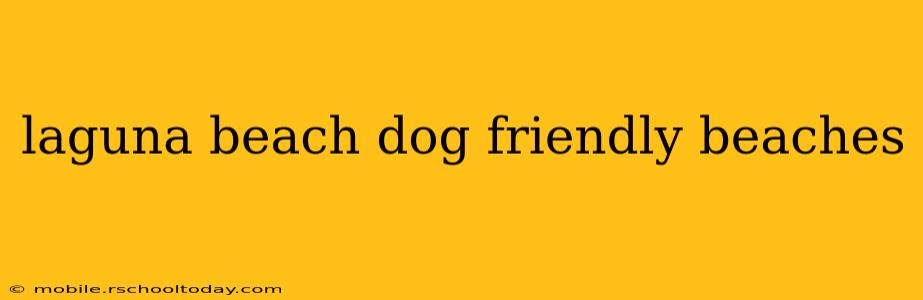 laguna beach dog friendly beaches