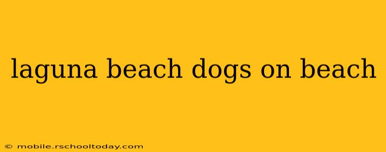 laguna beach dogs on beach