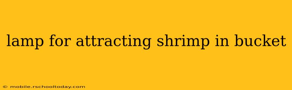 lamp for attracting shrimp in bucket