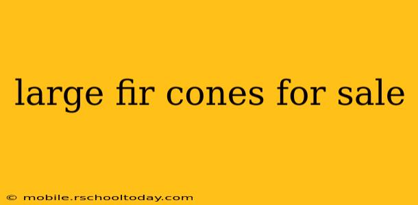 large fir cones for sale