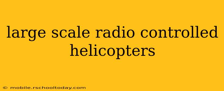 large scale radio controlled helicopters