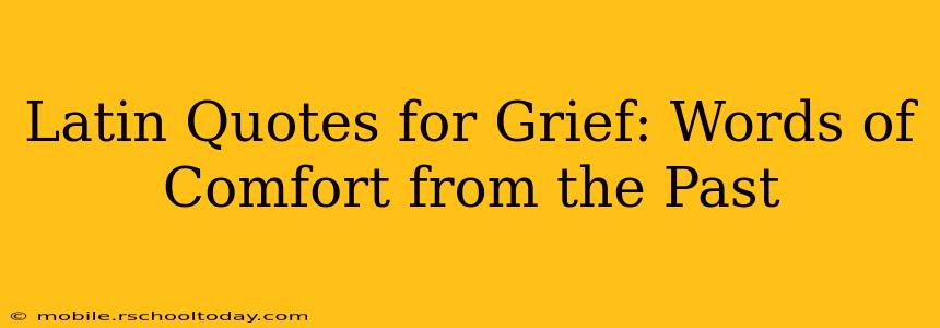 Latin Quotes for Grief: Words of Comfort from the Past