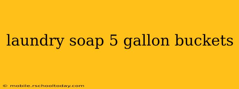 laundry soap 5 gallon buckets