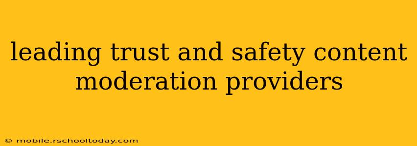 leading trust and safety content moderation providers