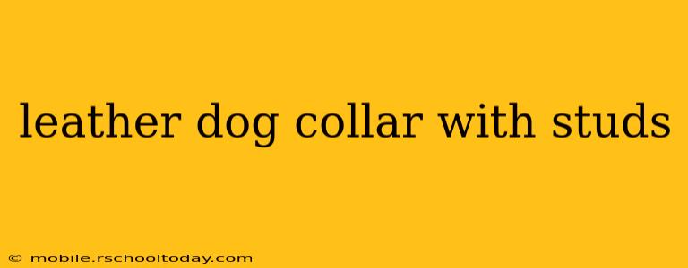 leather dog collar with studs