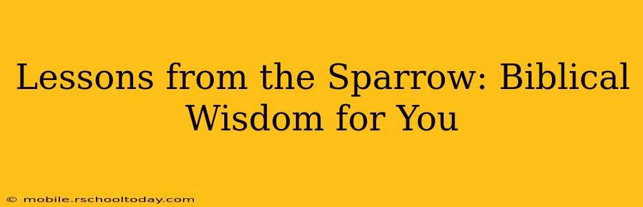 Lessons from the Sparrow: Biblical Wisdom for You