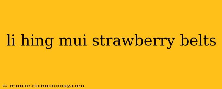 li hing mui strawberry belts