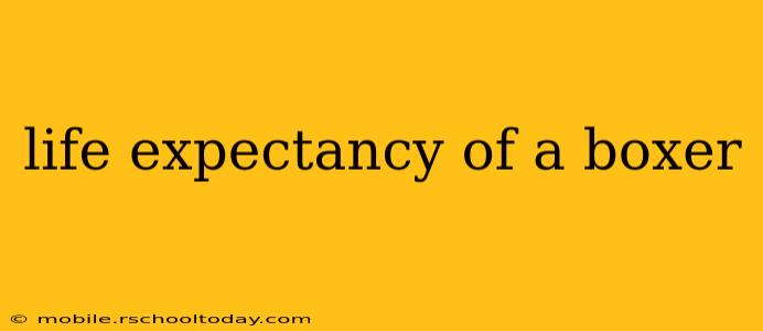 life expectancy of a boxer