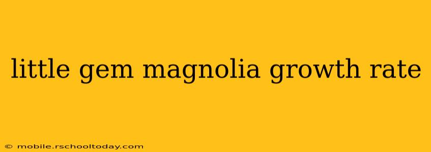 little gem magnolia growth rate