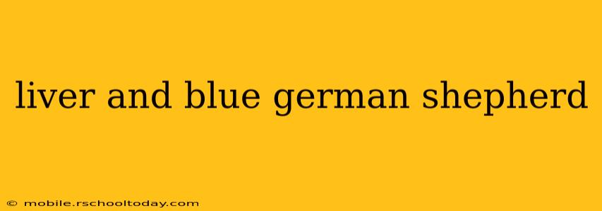 liver and blue german shepherd