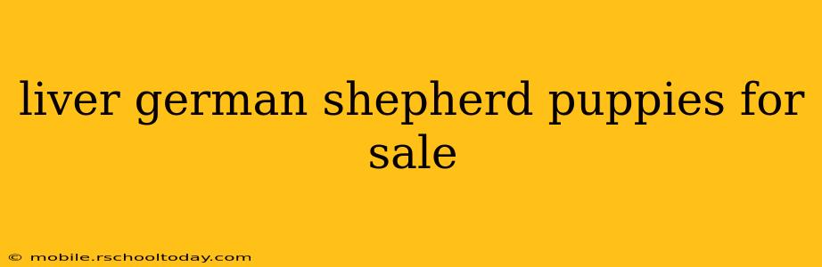 liver german shepherd puppies for sale