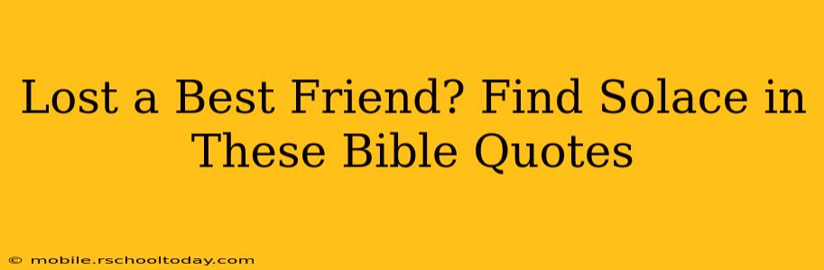 Lost a Best Friend? Find Solace in These Bible Quotes