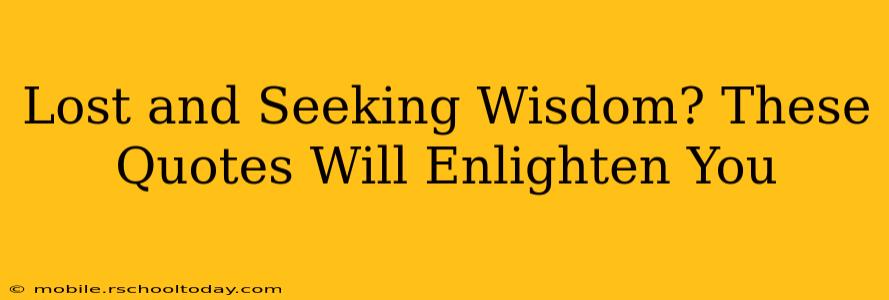 Lost and Seeking Wisdom? These Quotes Will Enlighten You