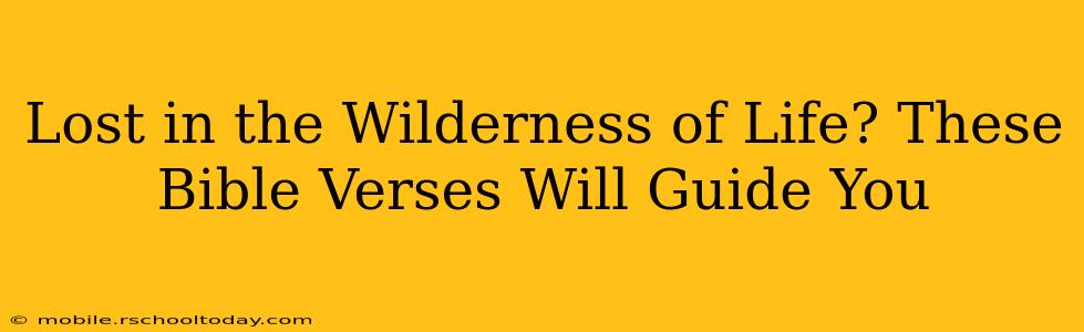Lost in the Wilderness of Life? These Bible Verses Will Guide You