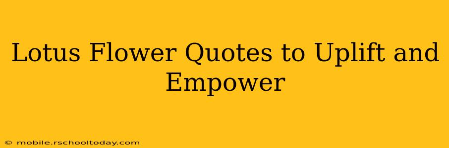Lotus Flower Quotes to Uplift and Empower