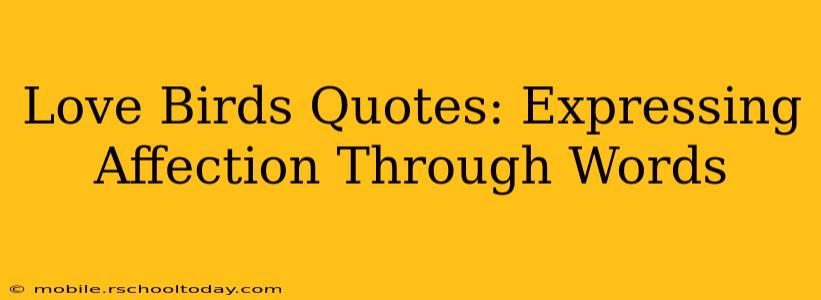 Love Birds Quotes: Expressing Affection Through Words