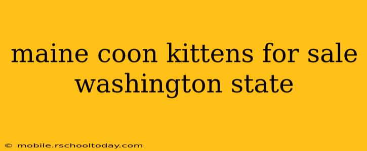 maine coon kittens for sale washington state
