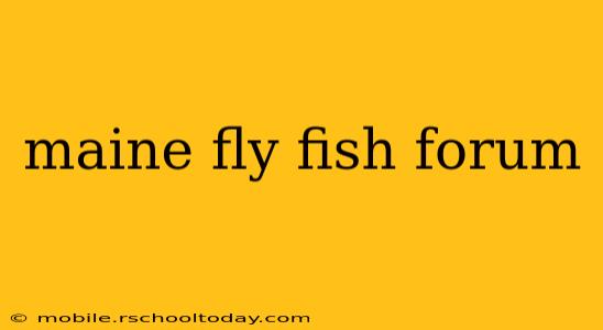 maine fly fish forum