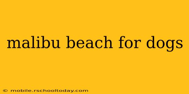 malibu beach for dogs