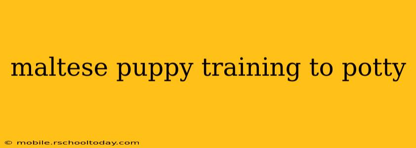 maltese puppy training to potty