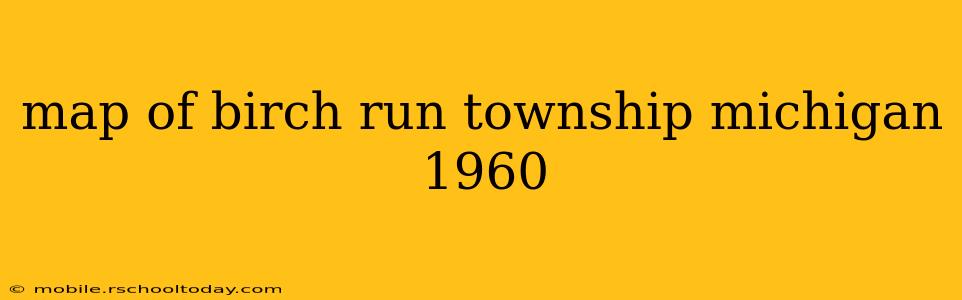 map of birch run township michigan 1960