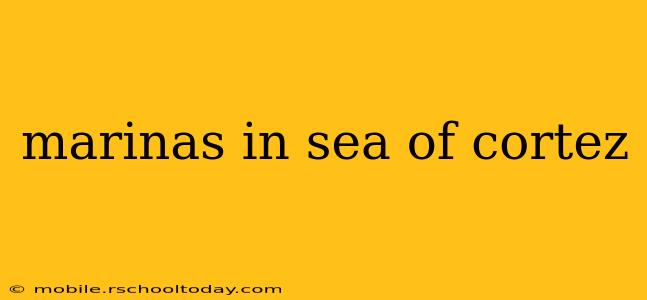 marinas in sea of cortez