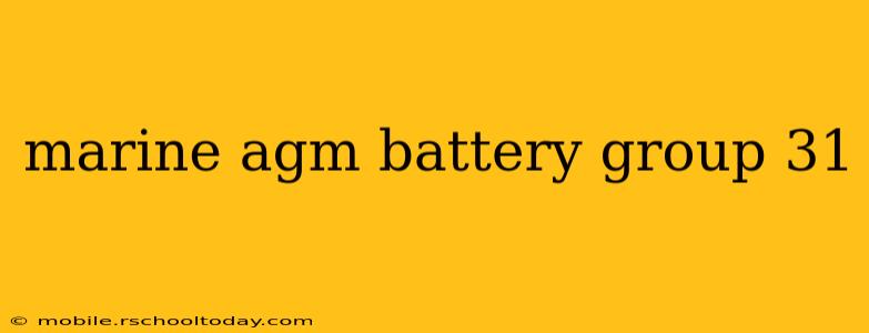 marine agm battery group 31