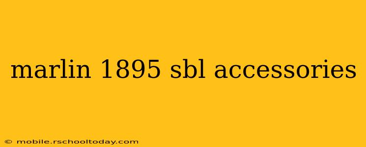 marlin 1895 sbl accessories