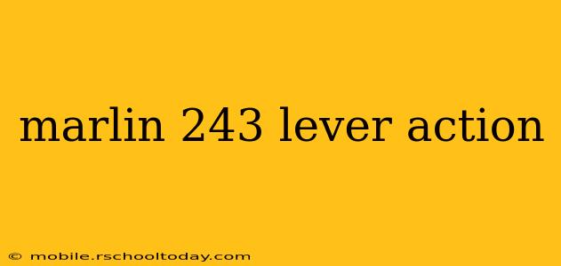 marlin 243 lever action