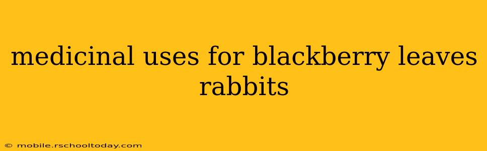 medicinal uses for blackberry leaves rabbits