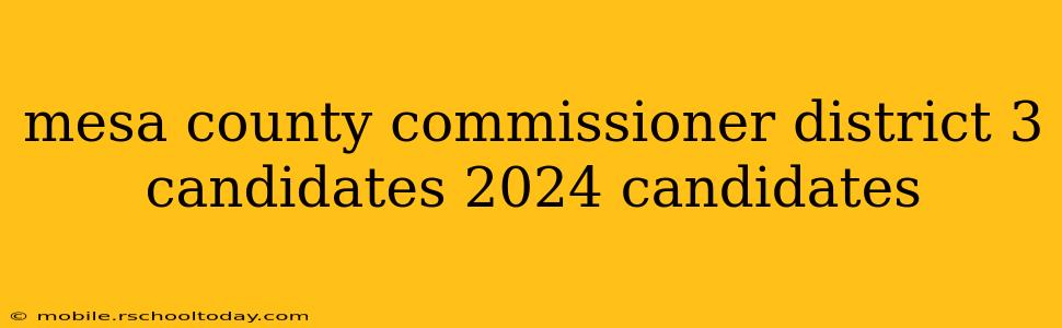 mesa county commissioner district 3 candidates 2024 candidates