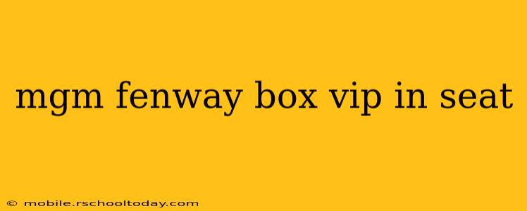 mgm fenway box vip in seat