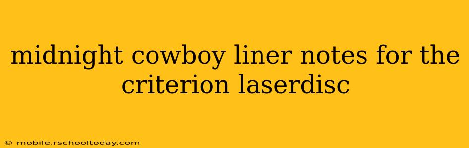 midnight cowboy liner notes for the criterion laserdisc