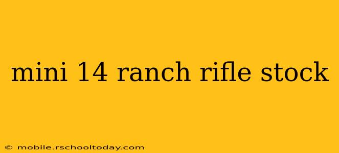 mini 14 ranch rifle stock