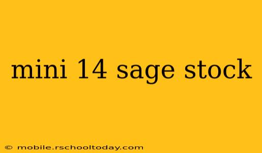 mini 14 sage stock