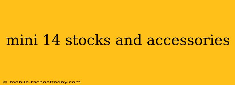 mini 14 stocks and accessories