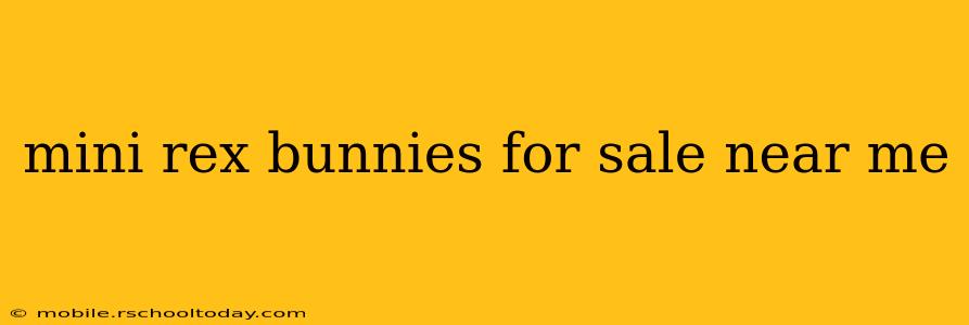 mini rex bunnies for sale near me
