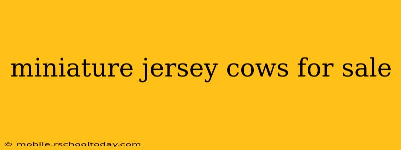 miniature jersey cows for sale