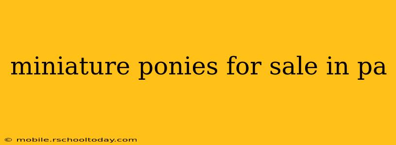 miniature ponies for sale in pa