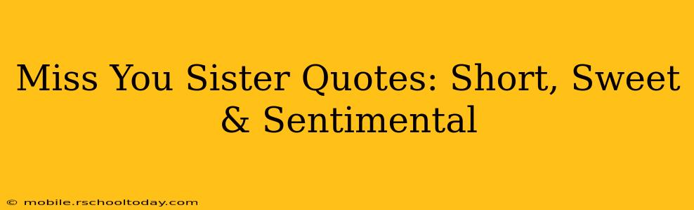 Miss You Sister Quotes: Short, Sweet & Sentimental