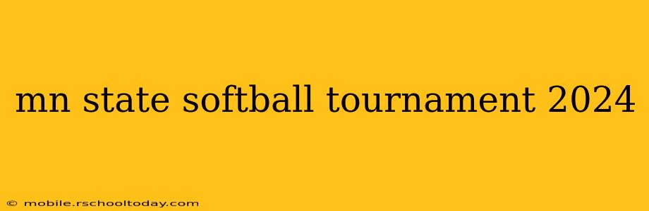 mn state softball tournament 2024