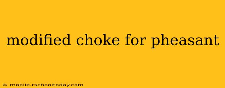 modified choke for pheasant