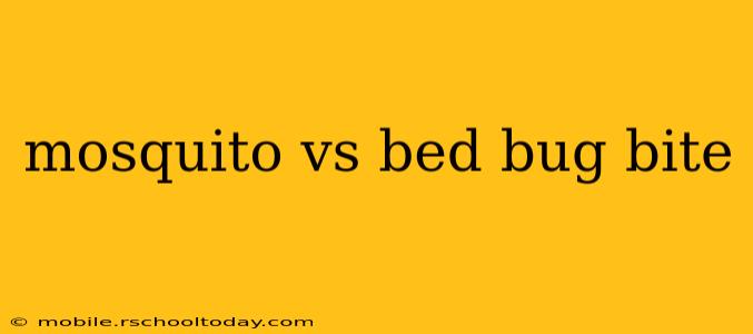 mosquito vs bed bug bite