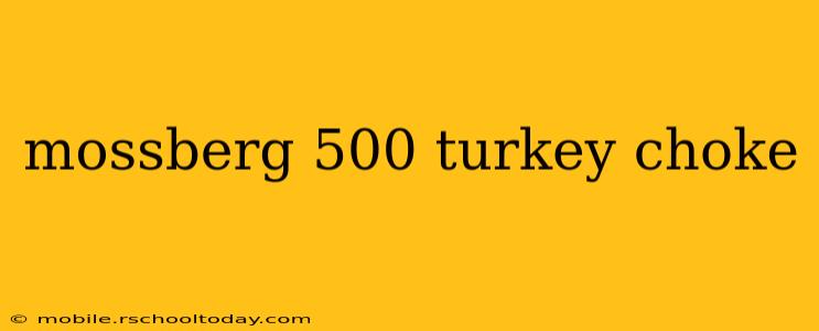 mossberg 500 turkey choke