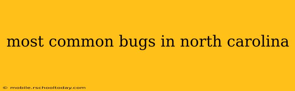 most common bugs in north carolina