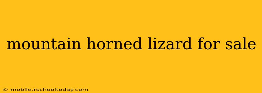 mountain horned lizard for sale